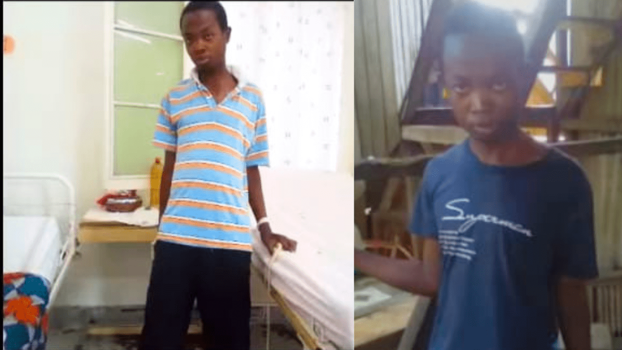 Rádio Somos Todos Primos