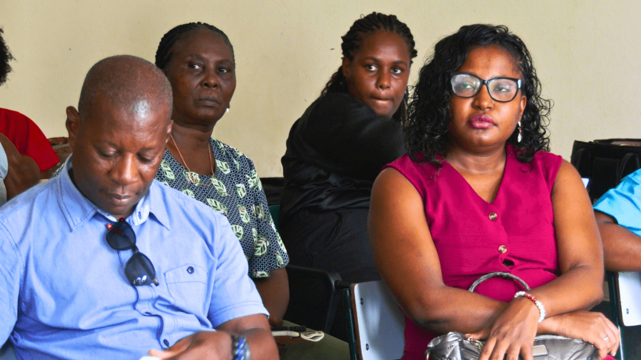 Rádio Somos Todos Primos