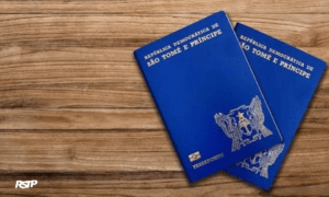 serviço de migração e fronteira