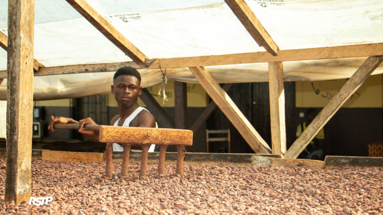 Rádio Somos Todos Primos