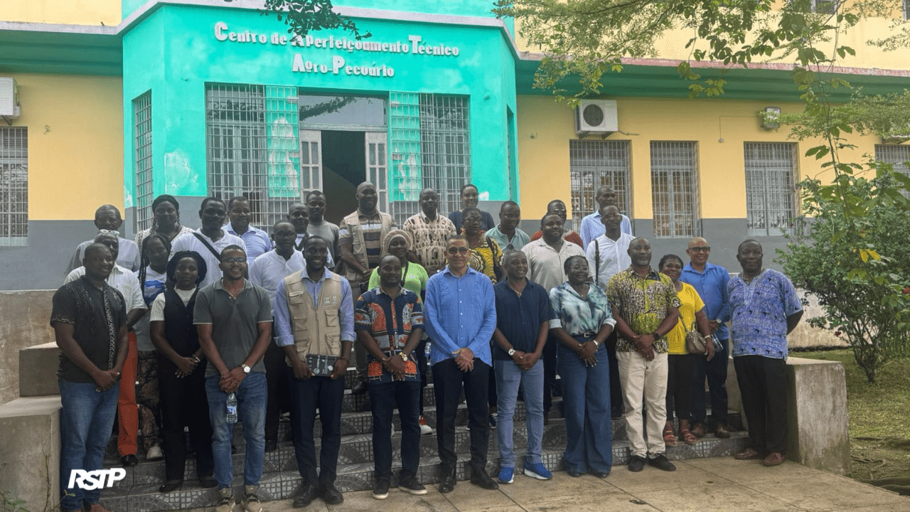 Rádio Somos Todos Primos