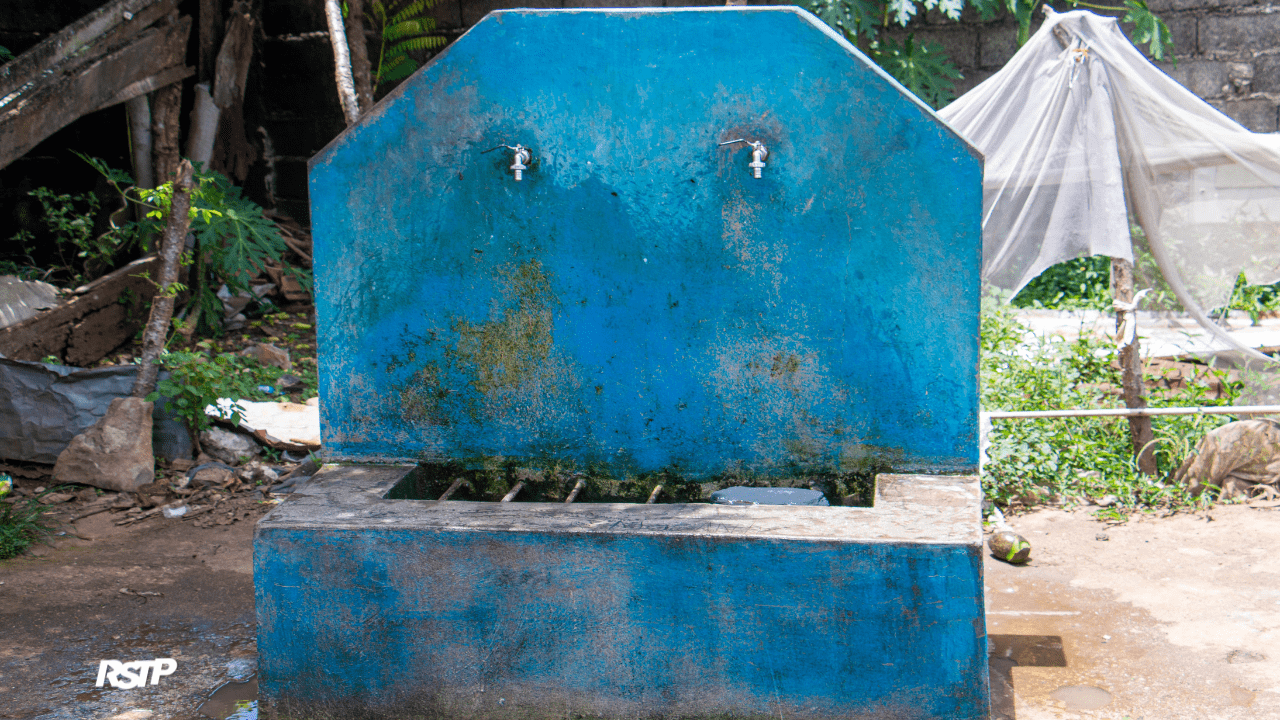 Rádio Somos Todos Primos